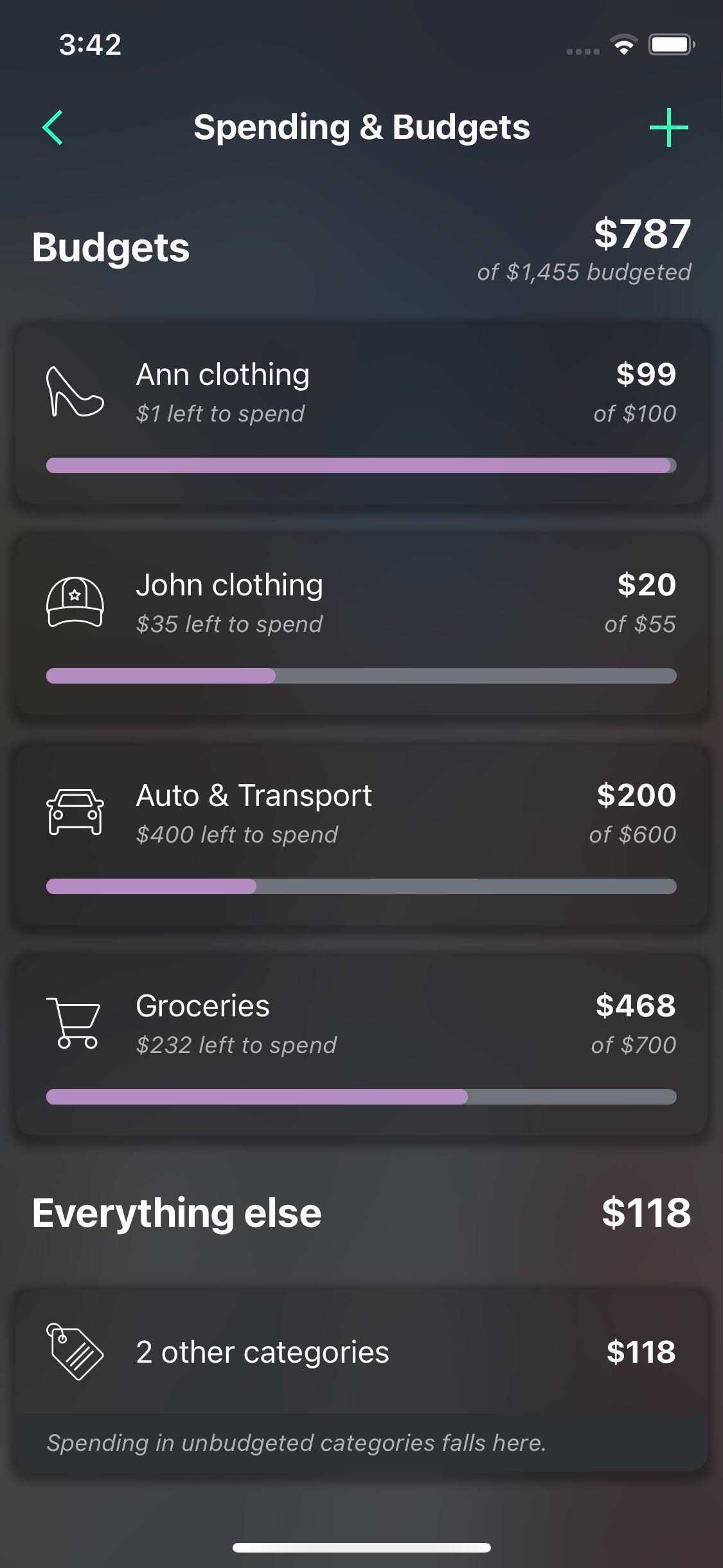Multiple_Category_budgets..jpg